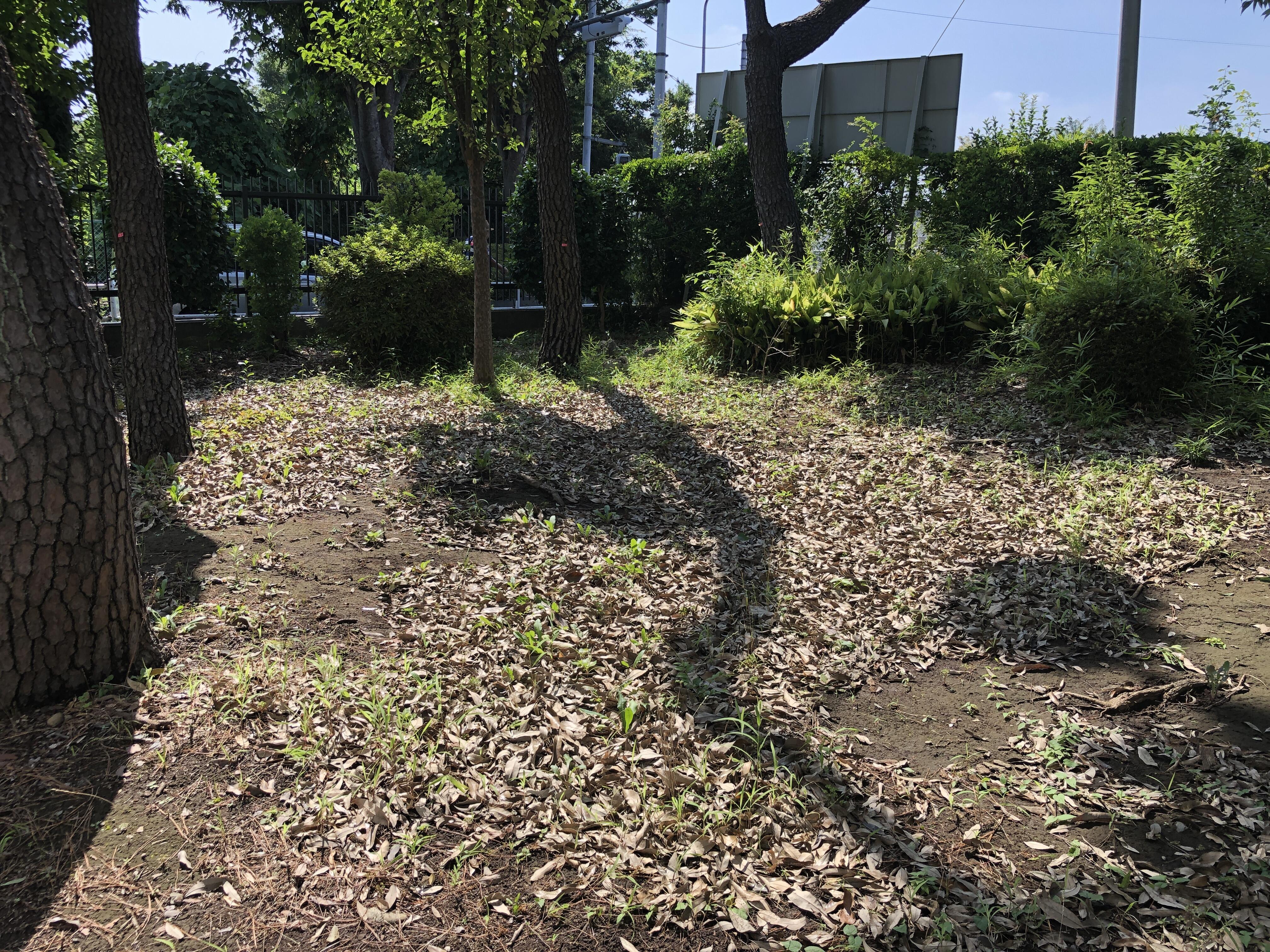 写真 2026-07-25 9 14 43.jpg